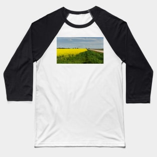 Fields of Gold Baseball T-Shirt